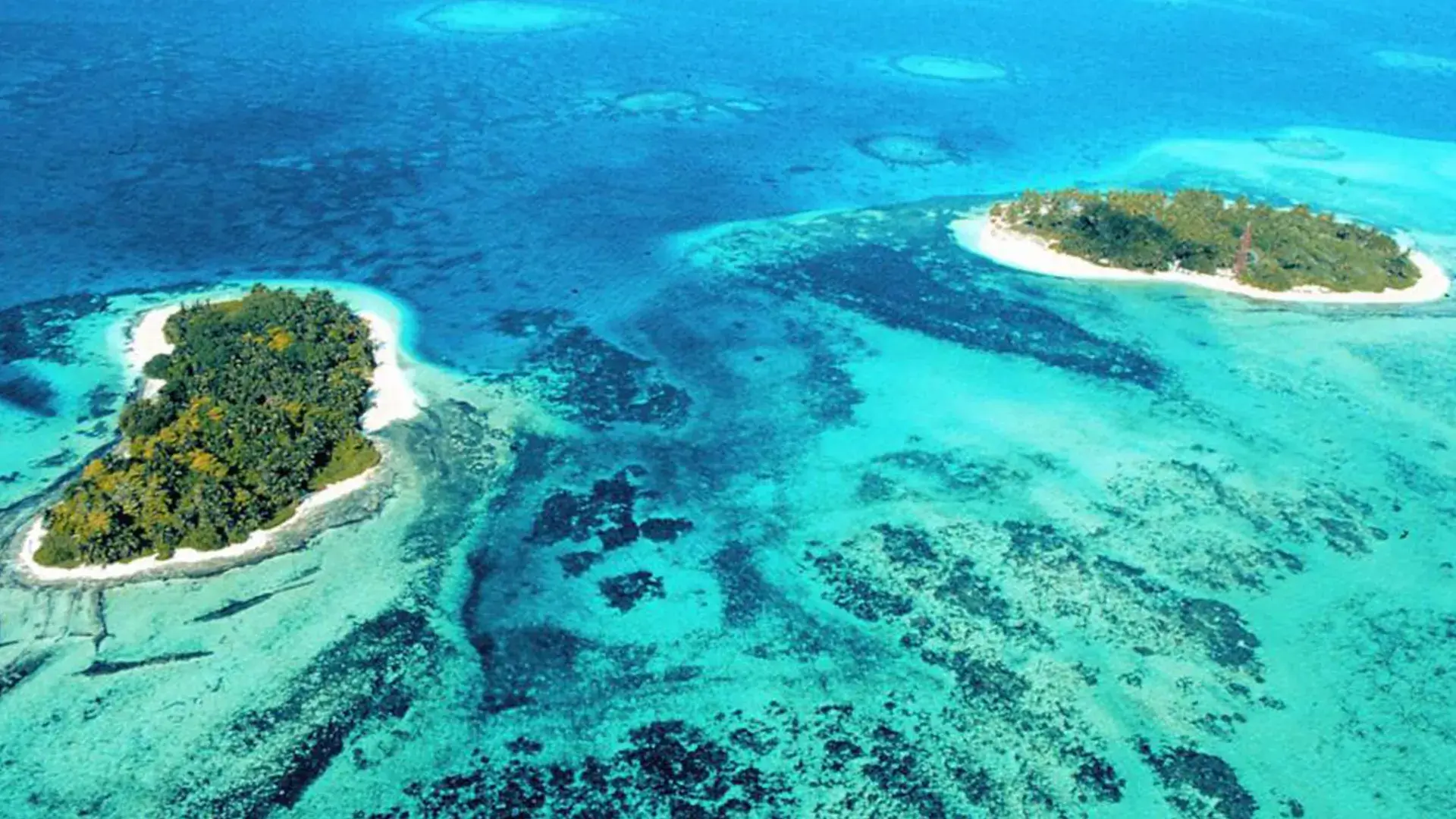 temporada de veda interna